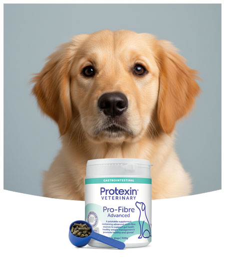 Pro-Fibre Advanced